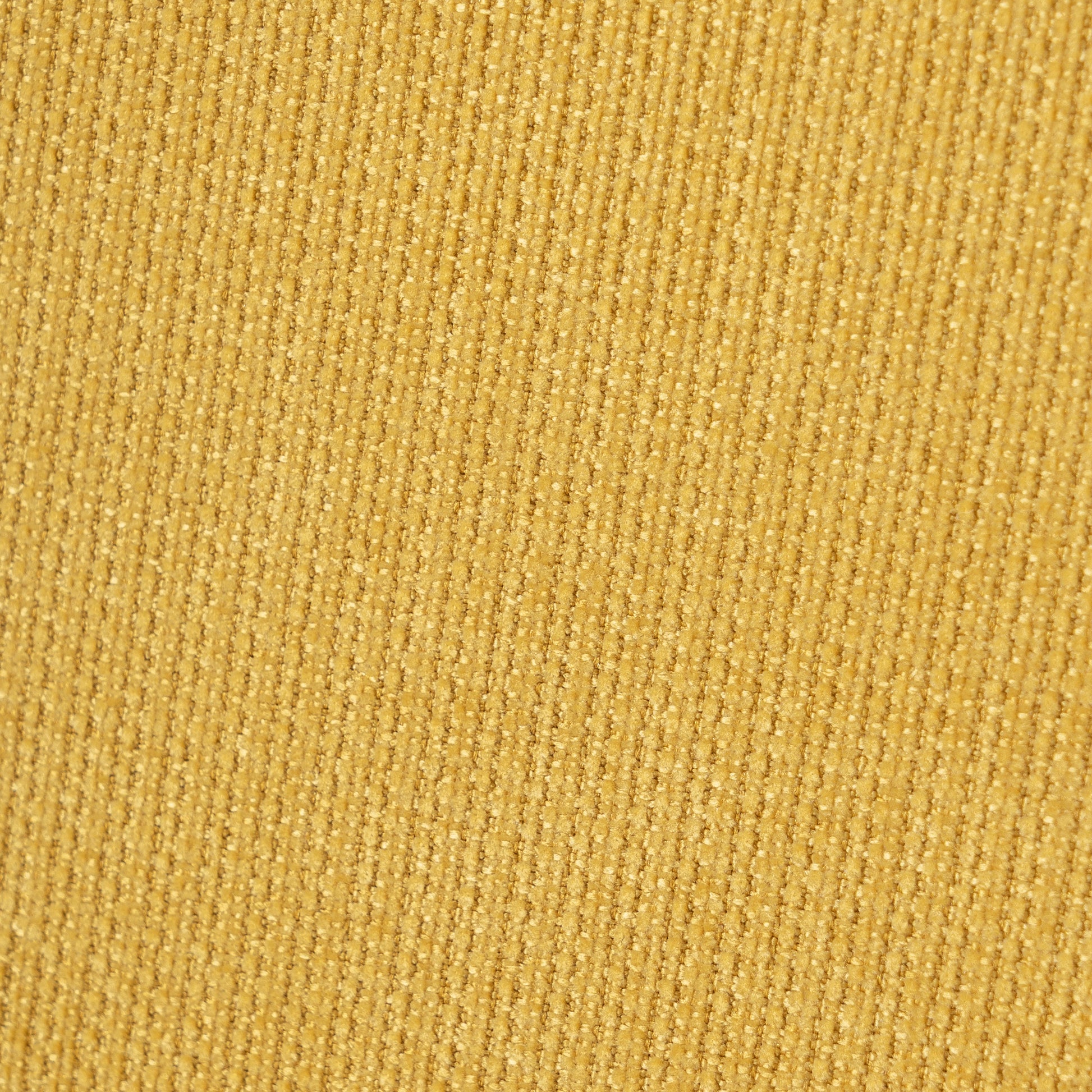 19760882