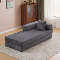 FloorNest Convertible Sofa
