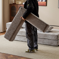 FloorNest Convertible Sofa